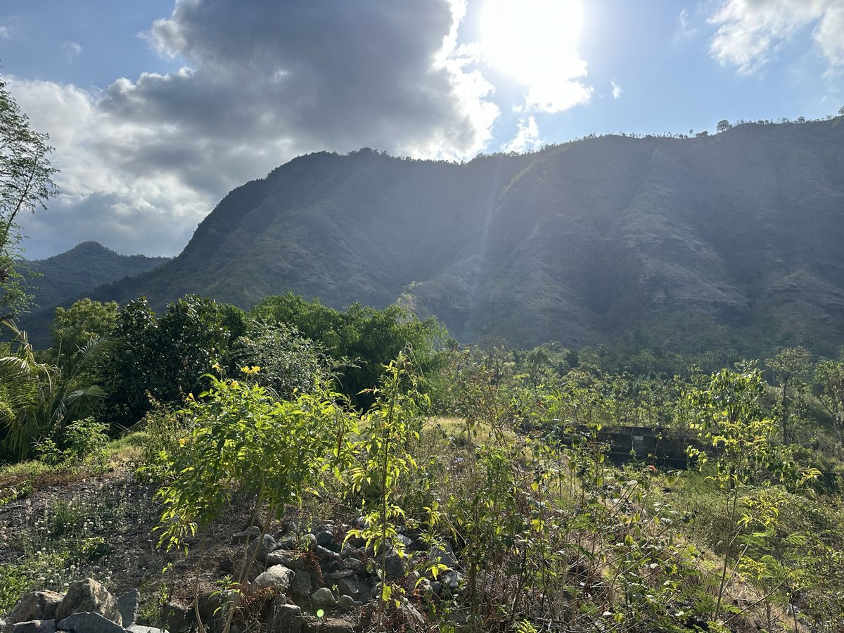 Montagne dans le contre-jour avec de la végétation, route de montagne d'Amed