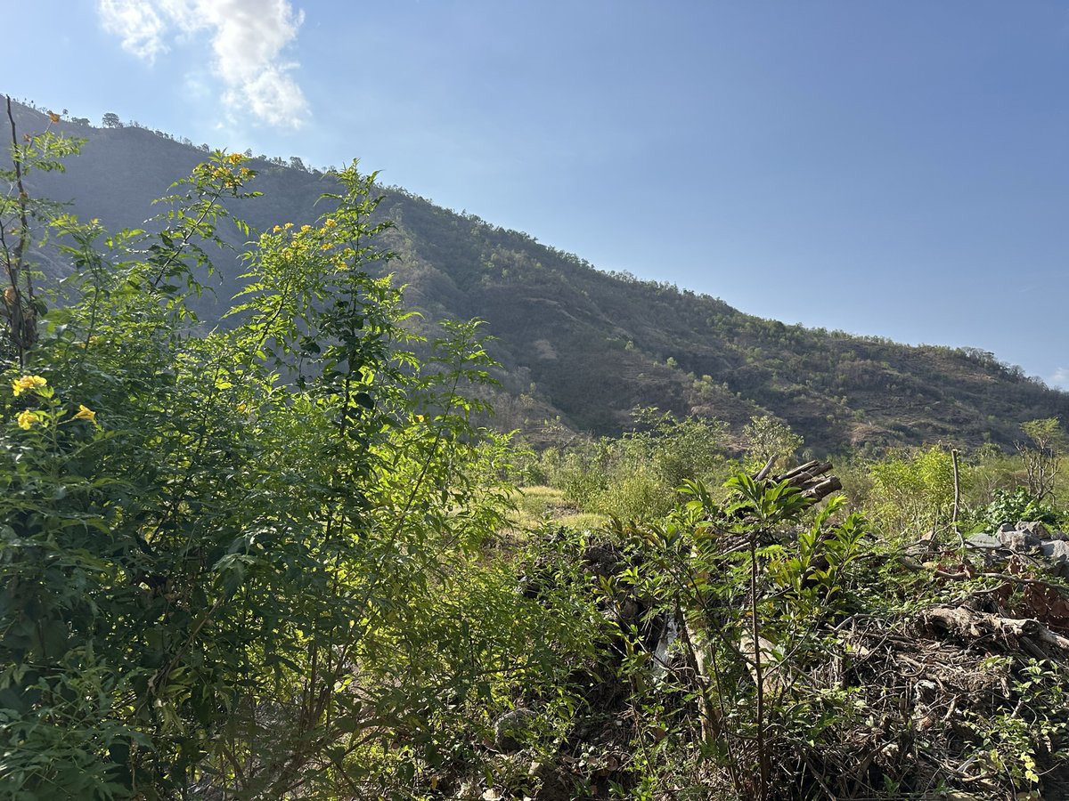 Versant de montagne et végétation sur la route de montagne d'Amed