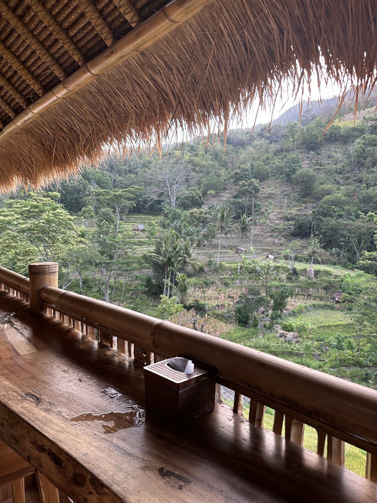 Comptoir en bois sous le toit de chaume avec vue sur les collines, Uma Ning Cafe